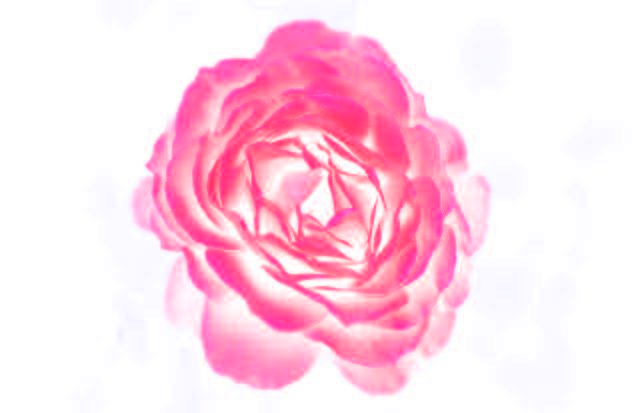 Image is not available